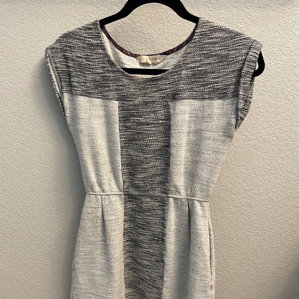 Anthropologie Sweatshirt Dress